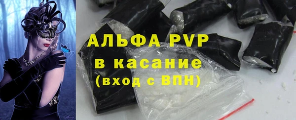 гашик Алексин
