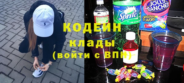 гашик Алексин