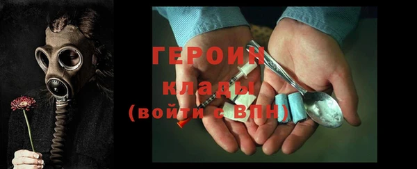 гашик Алексин