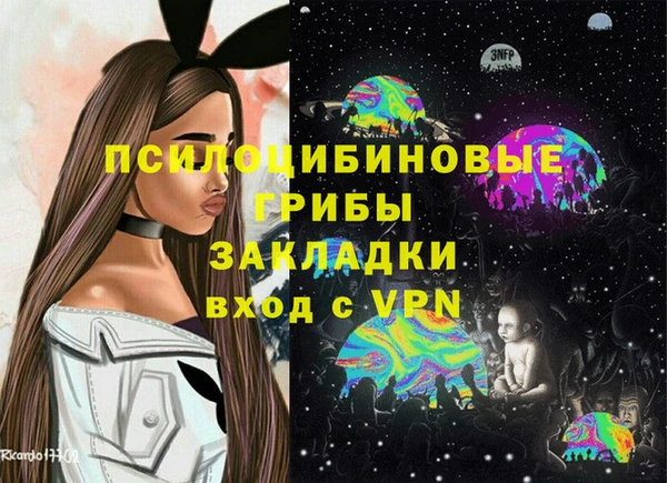 соль курить ск Инсар