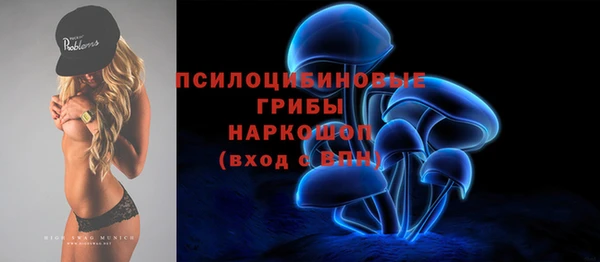 крисы Алзамай