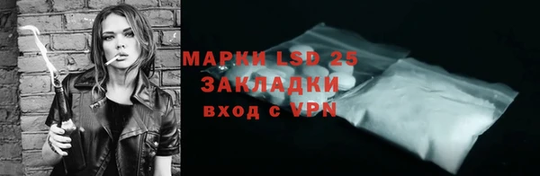 крисы Алзамай