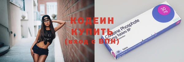 гашик Алексин