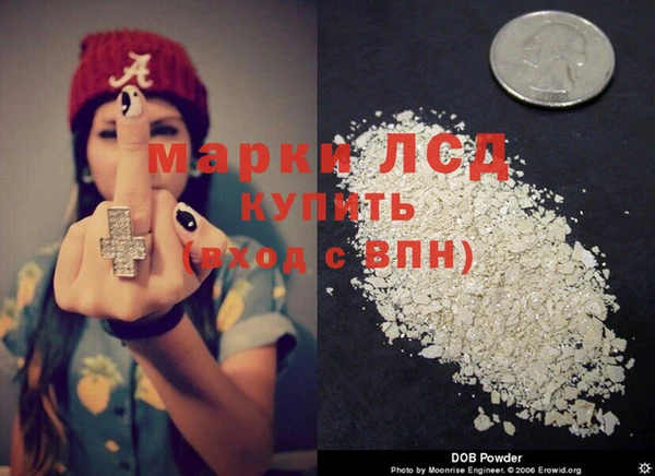 крисы Алзамай