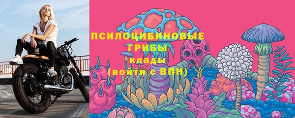 PSILOCYBIN Иннополис