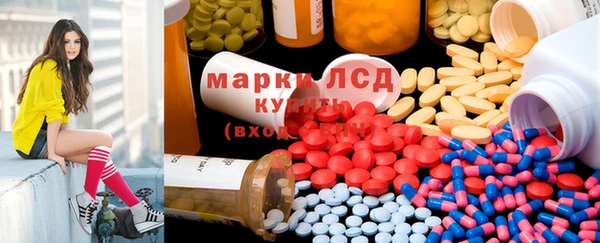 гашик Алексин