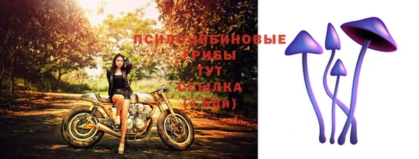 стафф Алексеевка