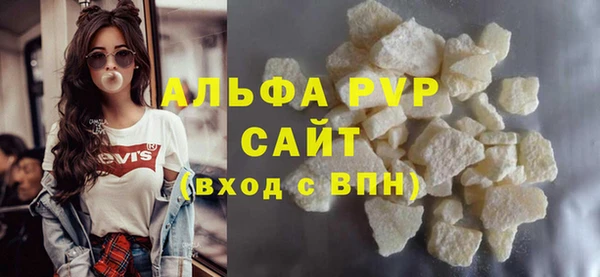 гашик Алексин