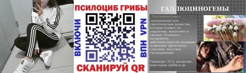 Псилоцибиновые грибы Magic Shrooms  где купить наркоту  Пролетарск 